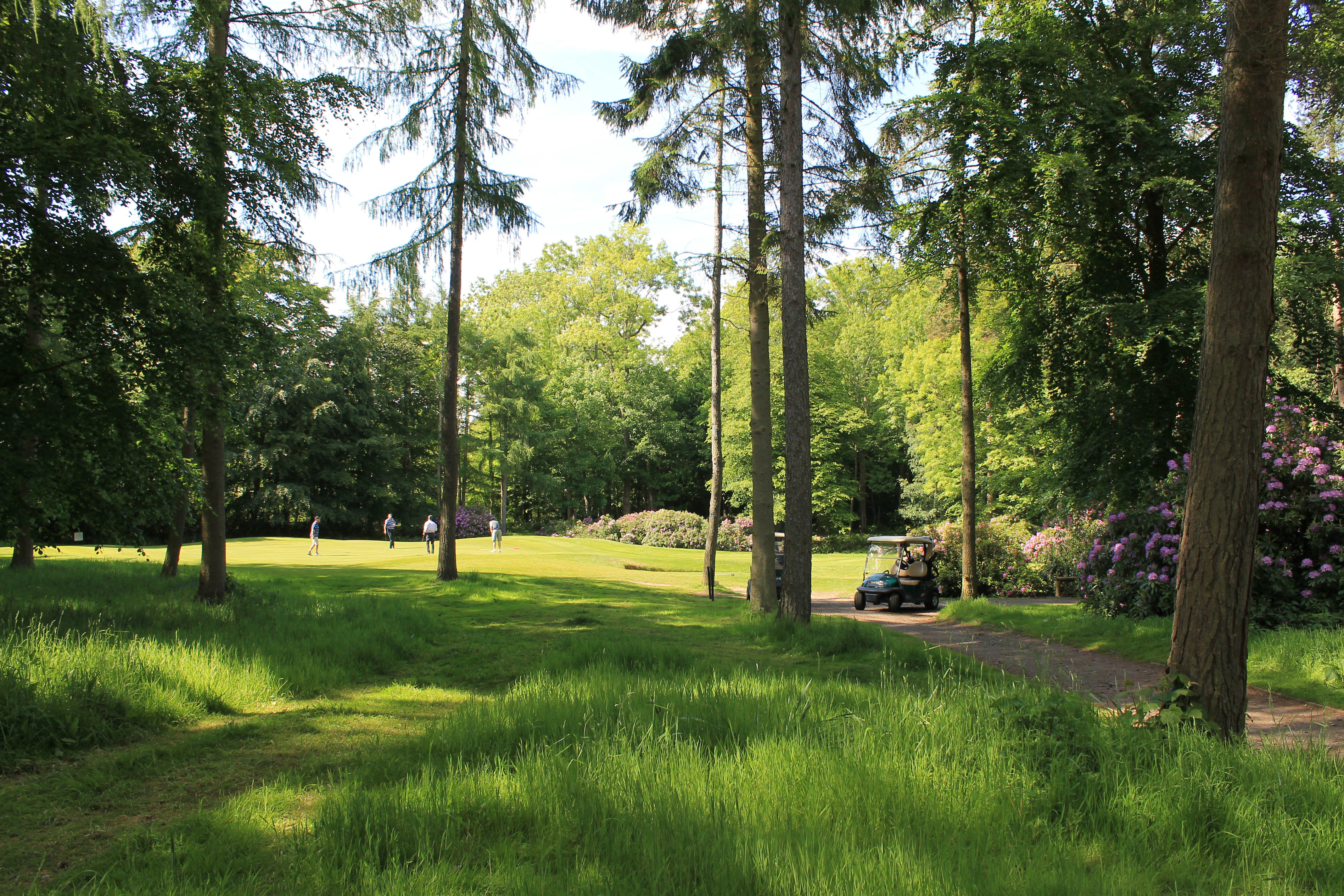 Amen Corner