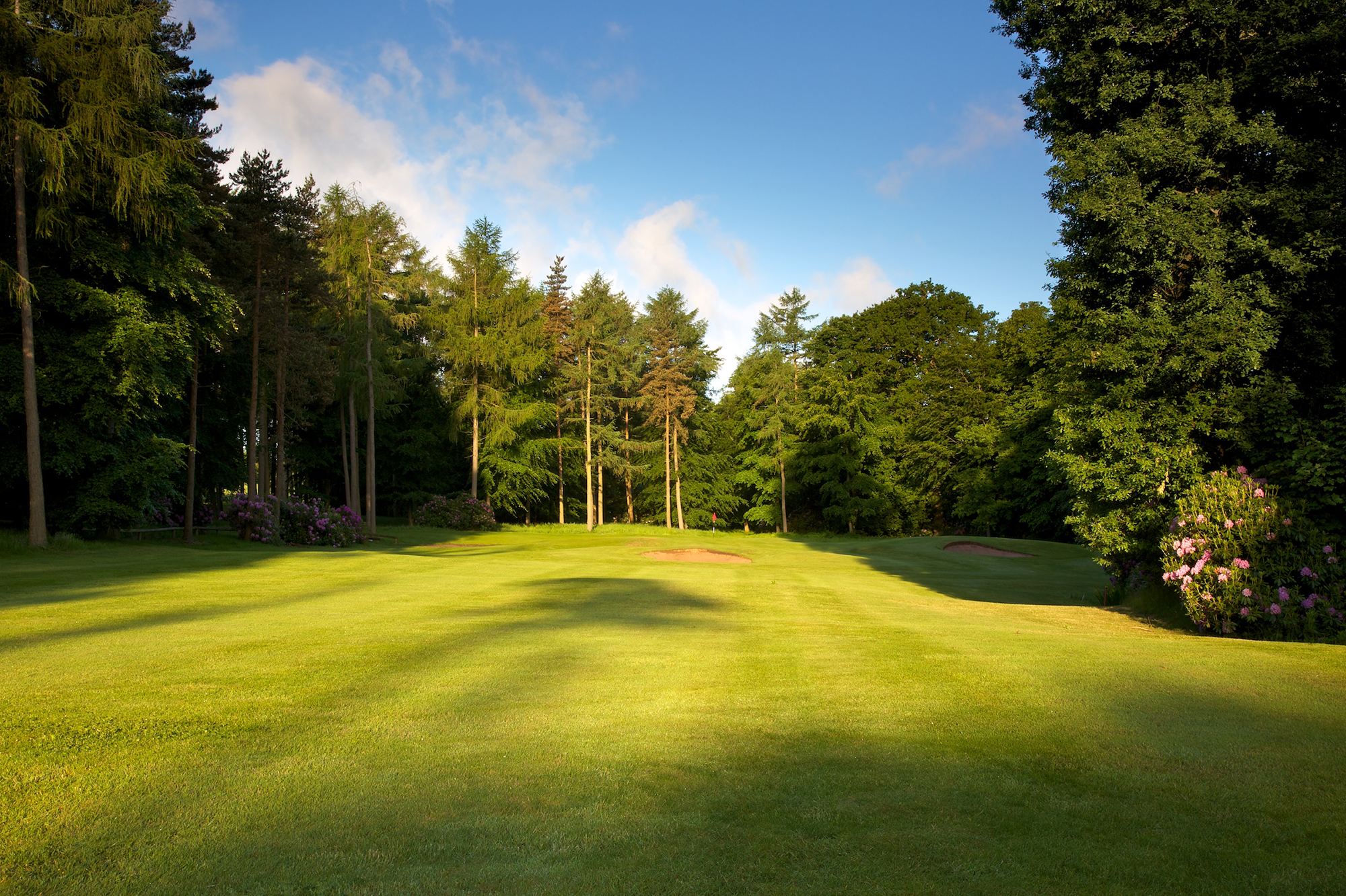 14th Hole on Hawtree Course